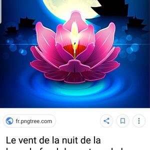 Meet your Posher, Natasha